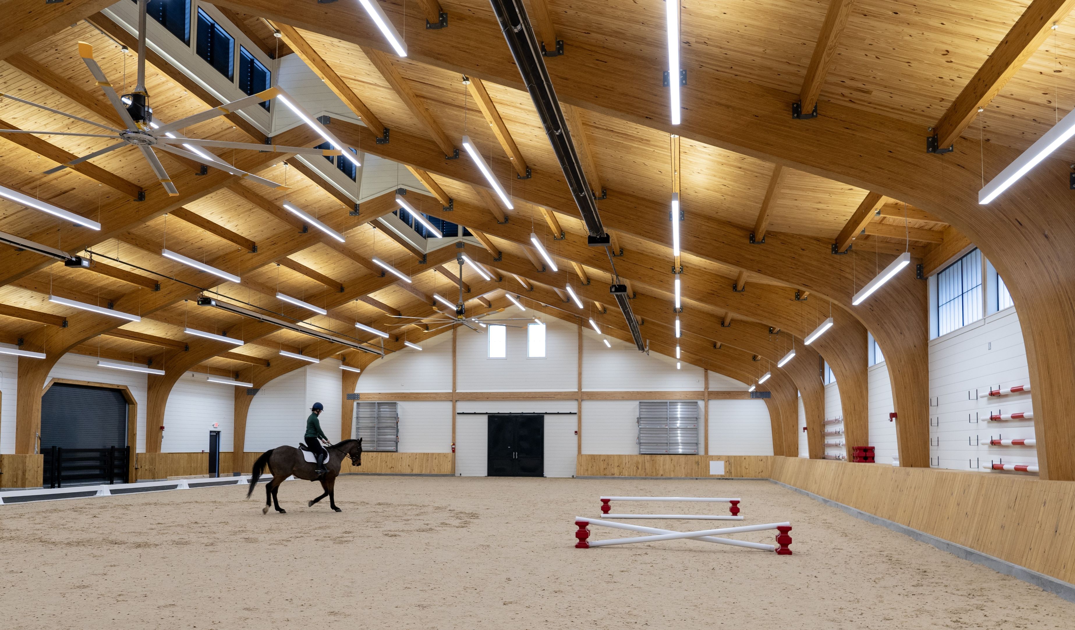 a horseback rider in the arena 