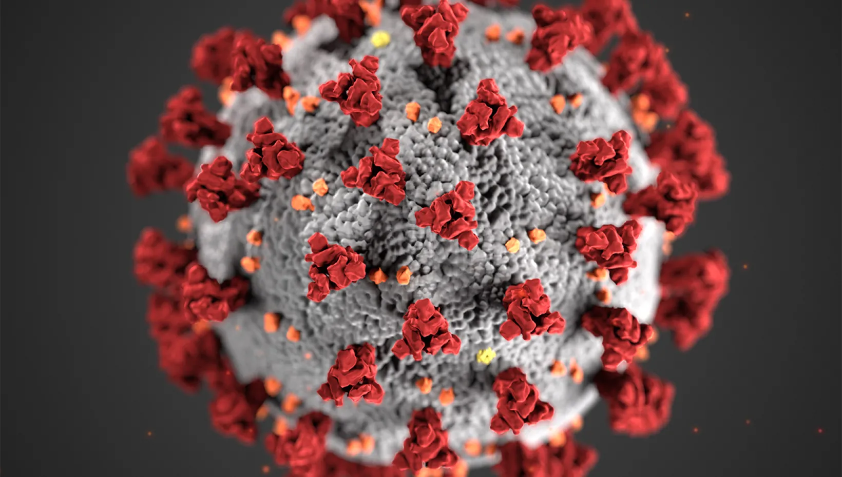 an illustration of coronavirus 