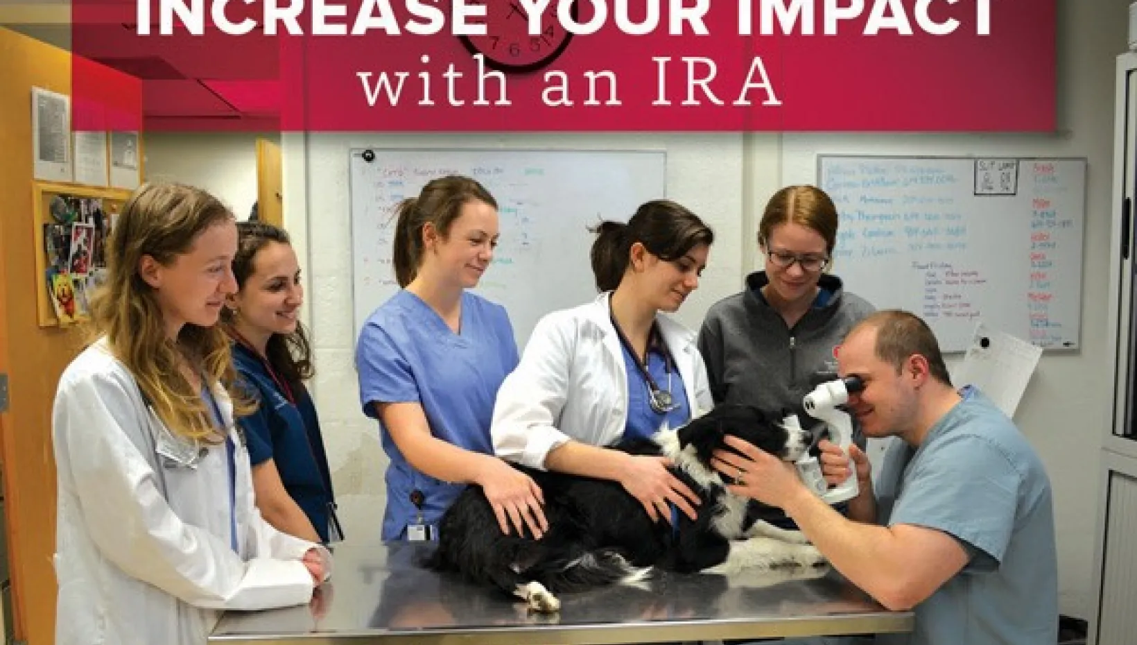 Graphic of vets giving a dog an exam with the text "Increase your impact with an IRA"