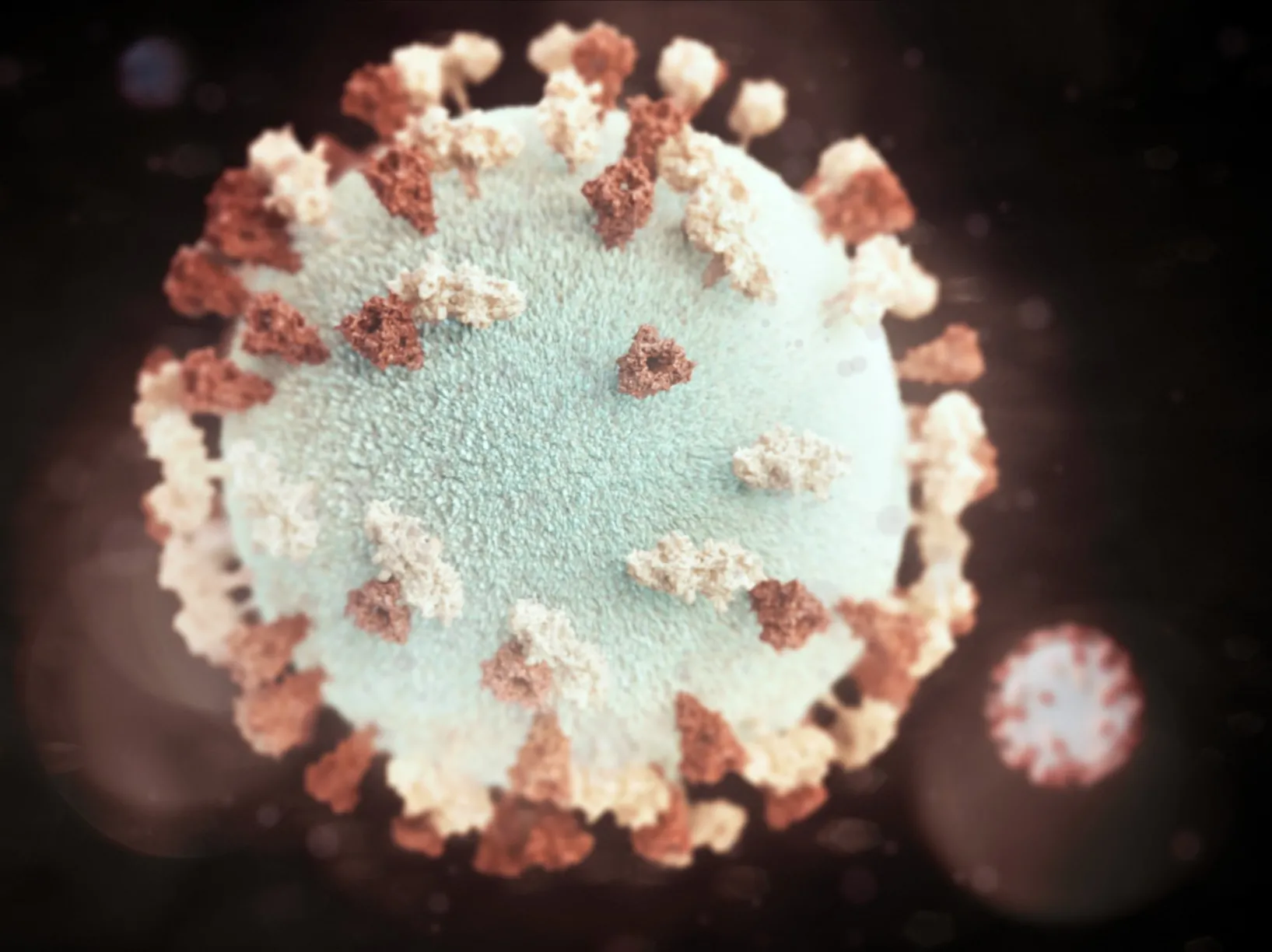Close-up of mumps virus