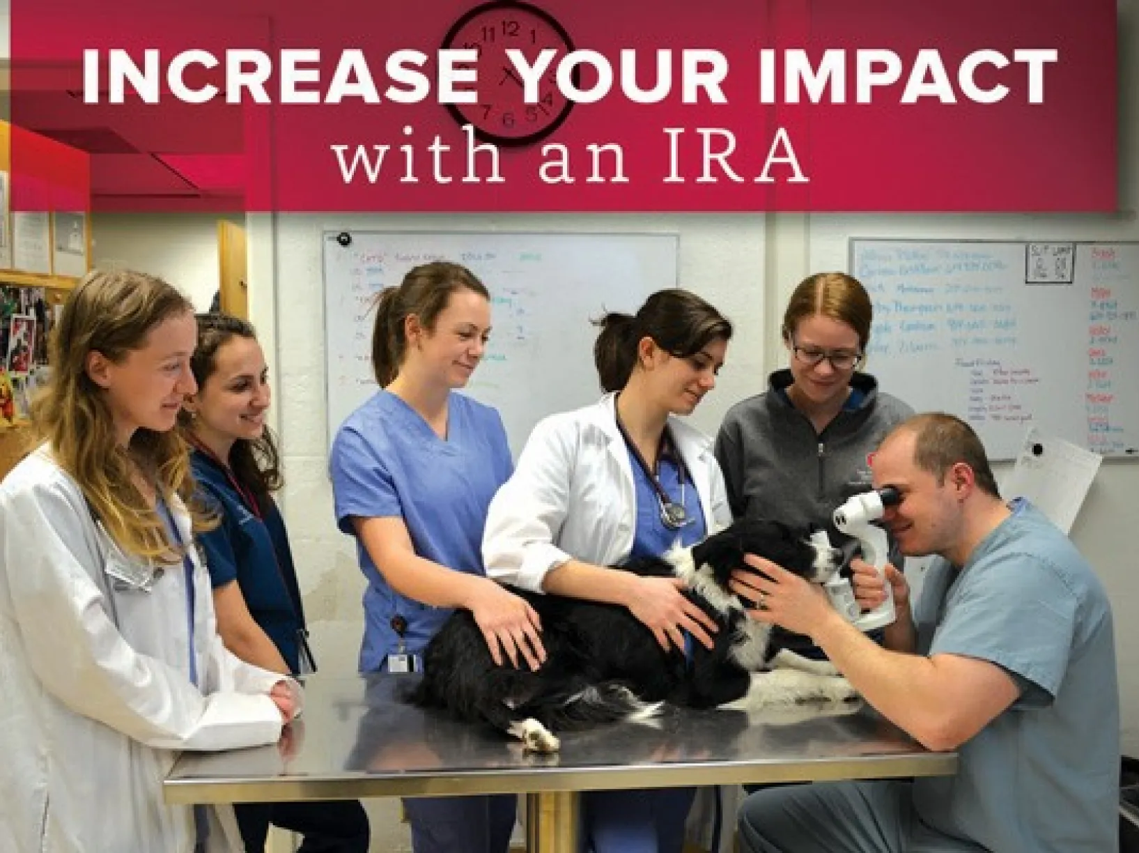 Graphic of vets giving a dog an exam with the text "Increase your impact with an IRA"