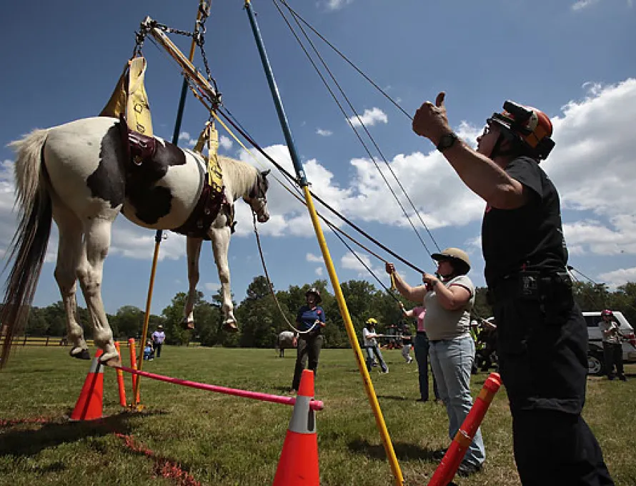 emergency responder and farm employee lift horse using hoist