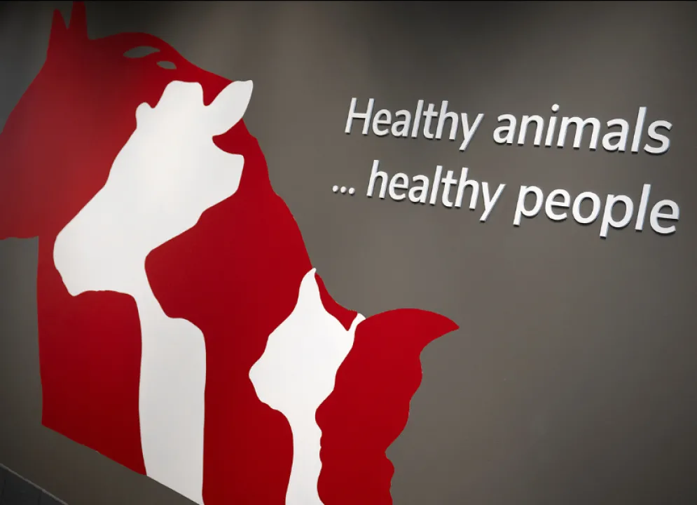 image of healthy animals...healthy people printed on a wall 
