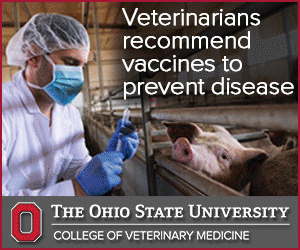 cvm graphic about how vets recommend the vaccine 
