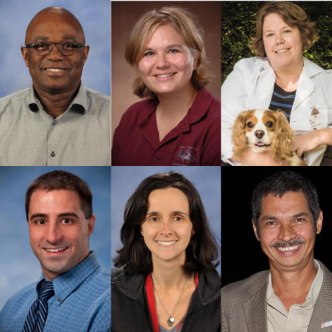 The six faculty named to endowed positions include (pictured left to right, top to bottom ), Drs. Boyaka, Burns, Moore, Niehaus, Selmic and Toribio.