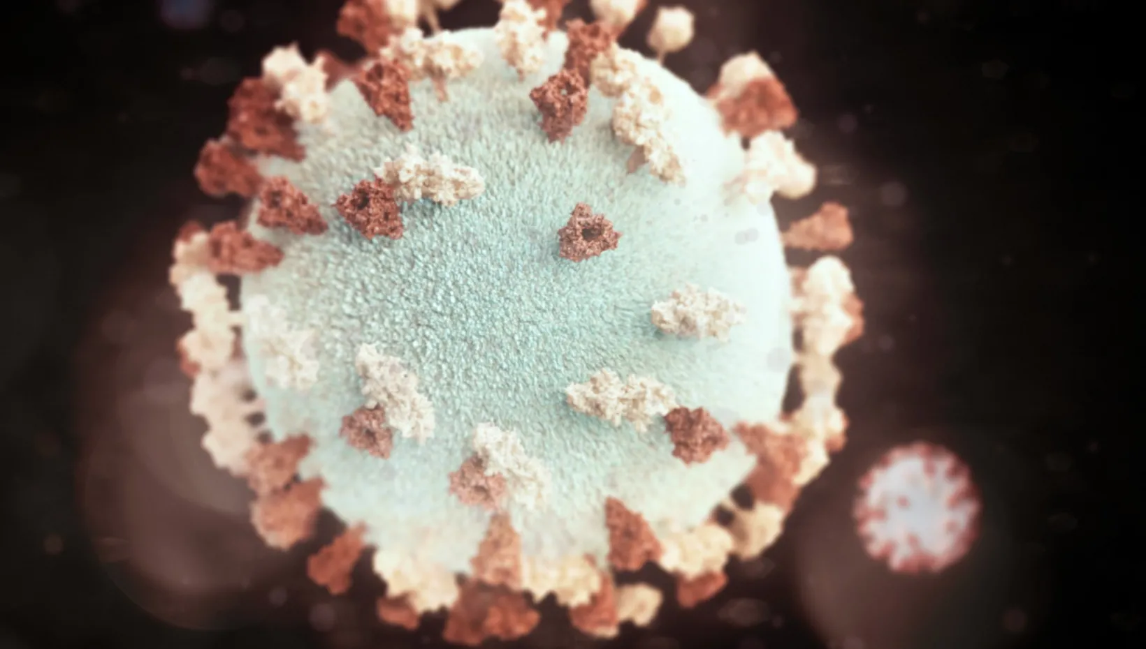 Close-up of mumps virus