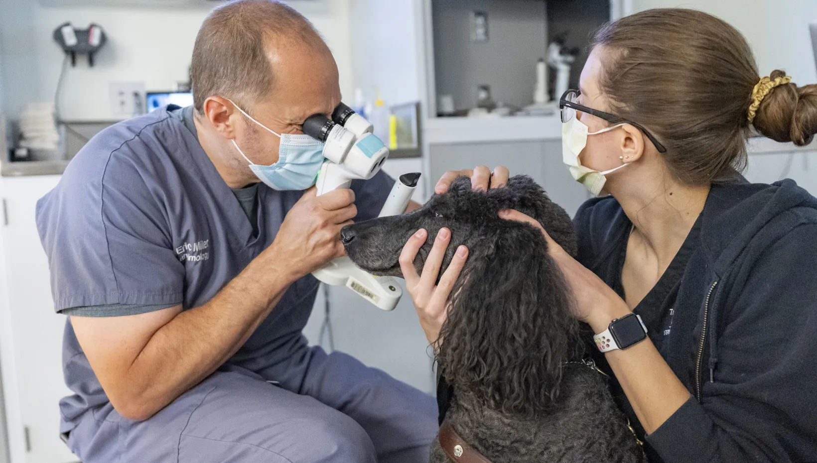 service dog eye exams in ophthalmology service in may