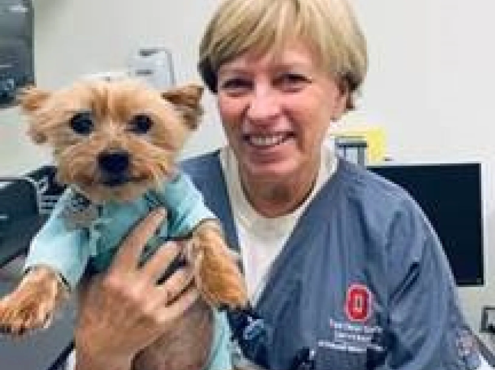 A veterinary technician holding a small dog