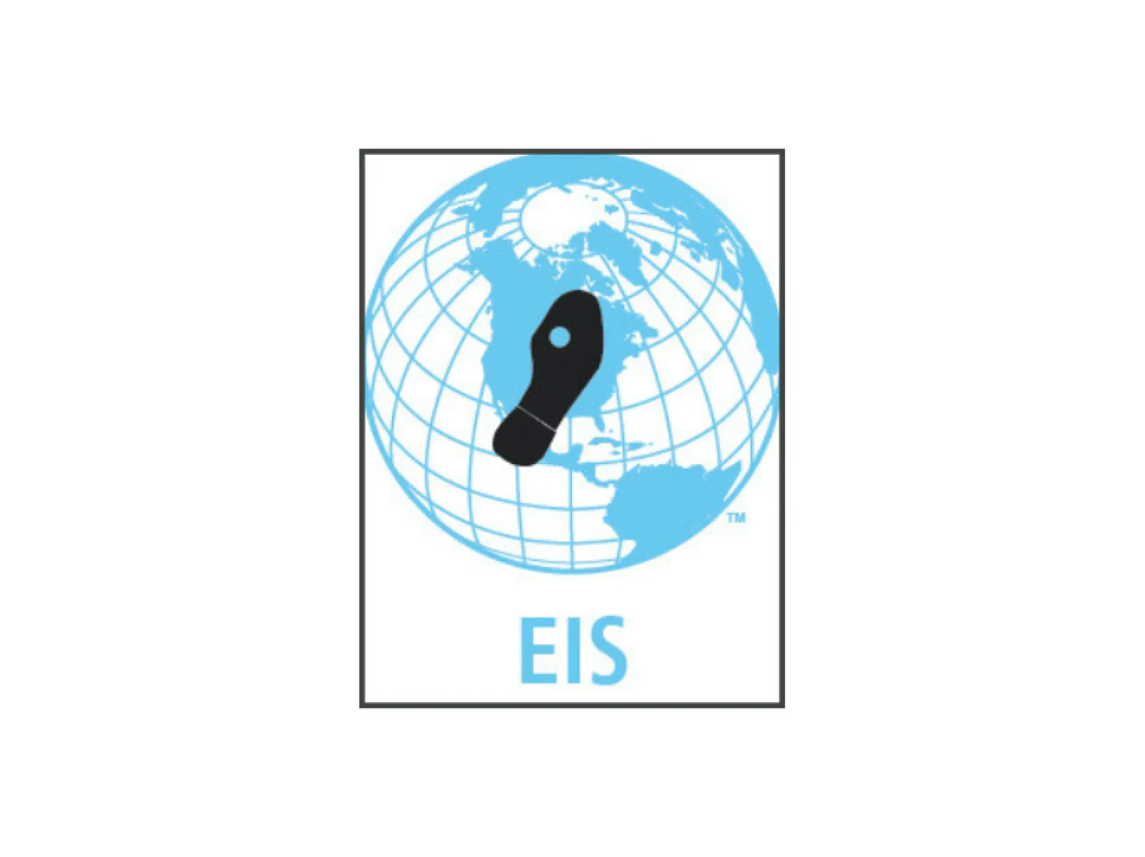 EIS COVER 2