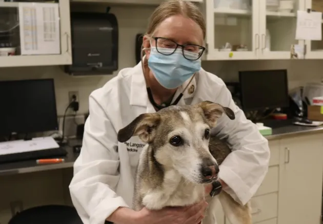 veterinarian cathy langston with dakota the dog