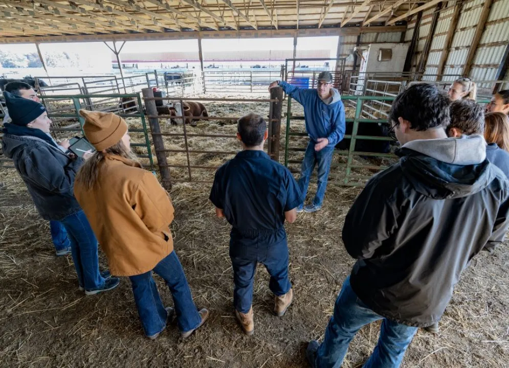 students in a healthy populations course learning about cows