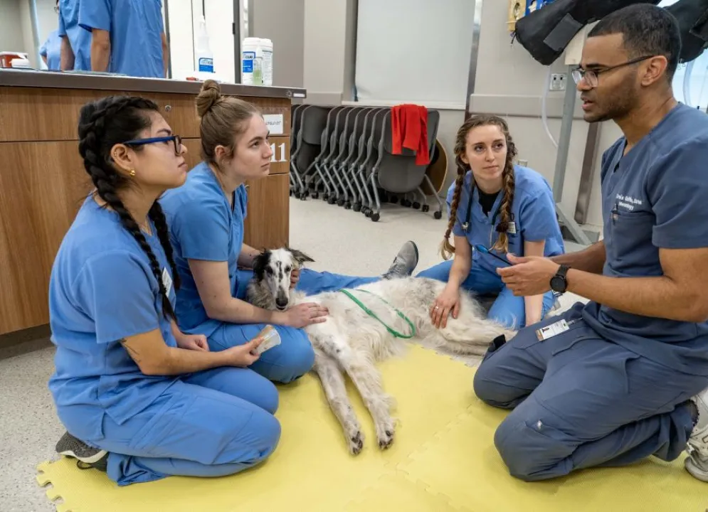 clinical skills lab neurology lab education