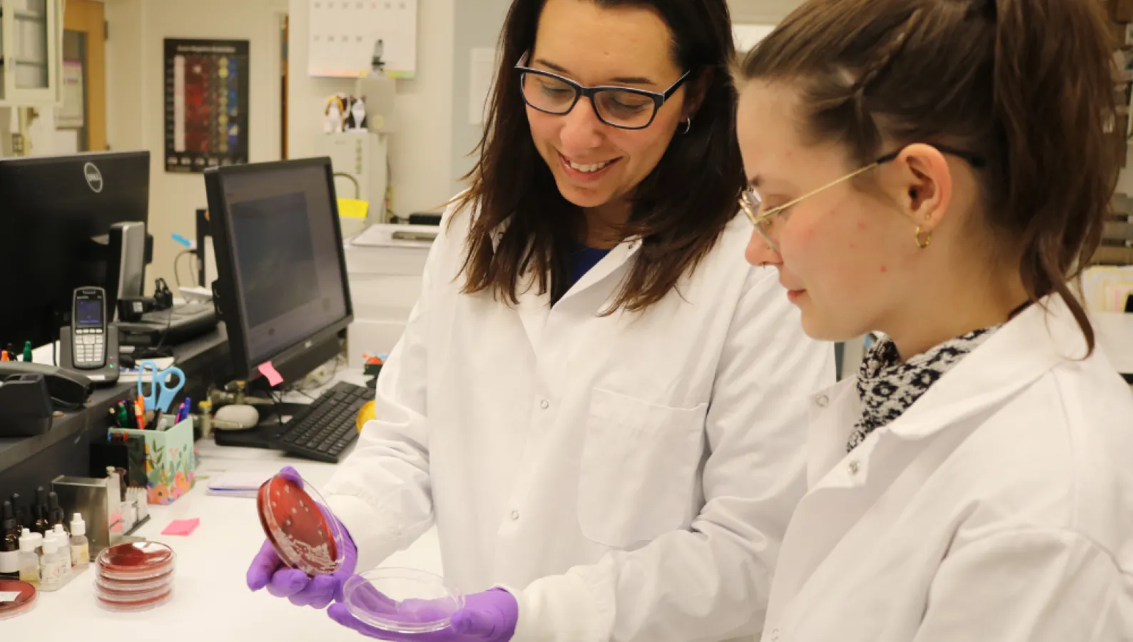 two female scientists looking at a microscope slide