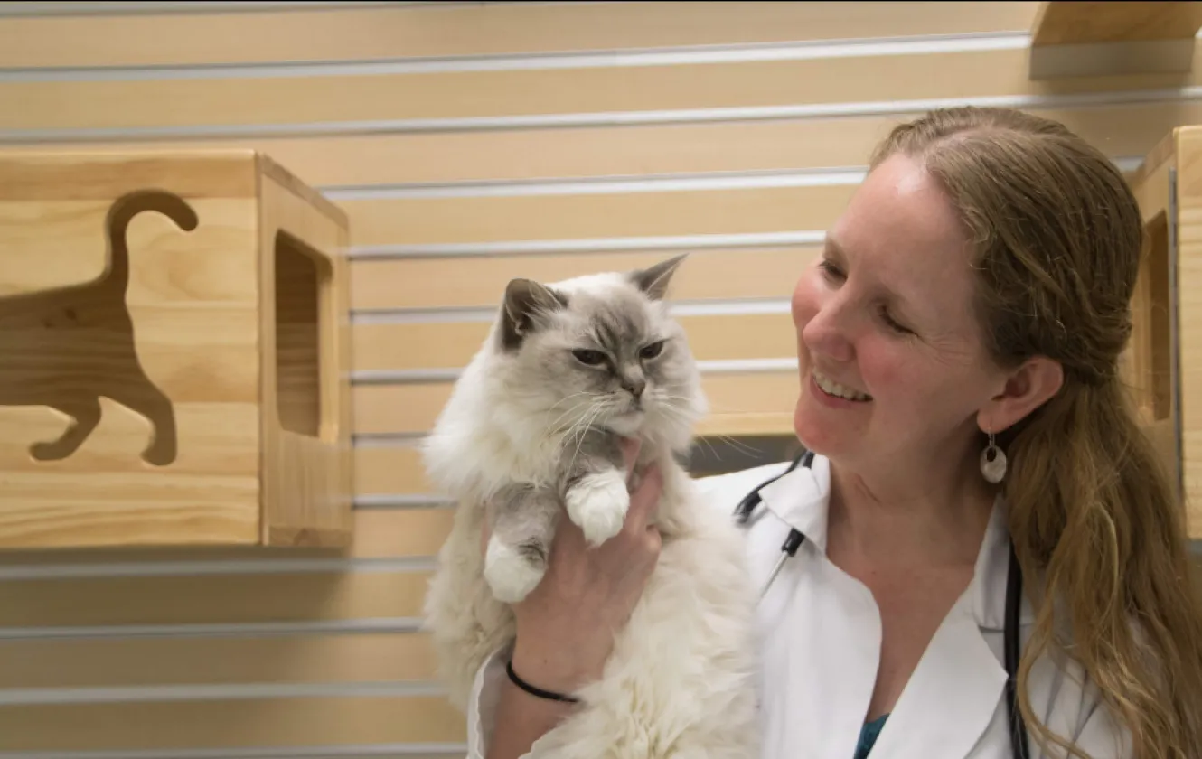 Jessica Quimby looking at cat in exam room