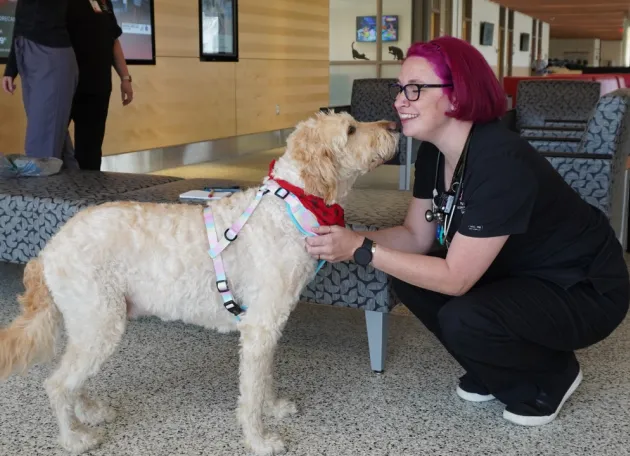 marley the dog sniffing a registered veterinary technician in the veterinary medical center