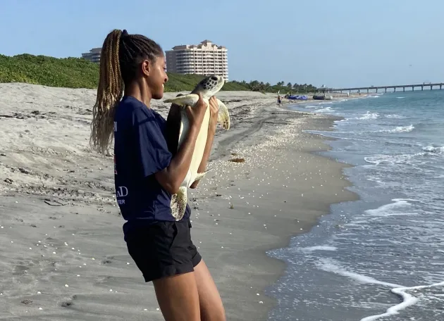 Christine Ruffin, a fourth-year veterinary student with sea turtle